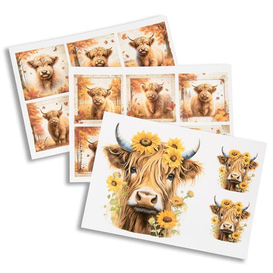 Emlems - Highland Cow Papers Download 35x A4